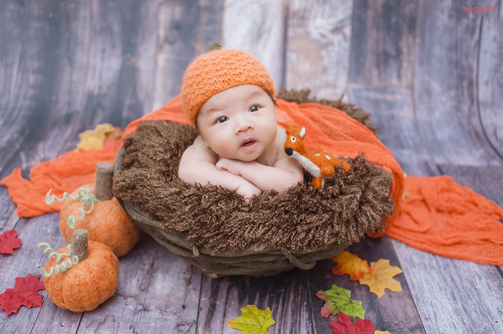 album ảnh newborn 24